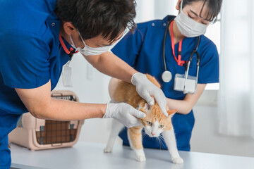 合同会社 2マイル